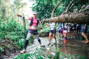 BIB: 
                            <button type="button" onclick="openModal(25475025)" class="btn btn-primary btn-sm float-right btn-popup" data-toggle="modal" data-target=".modal-high-quality">
                        <i class="fas fa-shopping-cart"></i> Add to Cart
                    </button>
                                            <button type="button" onclick="isThisMe(25475025, true)" class="btn btn-success btn-sm float-right btn-popup btn-isme hidden" data-toggle="tooltip" data-placement="bottom" title="นี่คือรูปของคุณใช่ไหม คลิกที่นี่เพื่อเอาเข้าอัลบั้ม">
                        <i class="fas fa-plus"></i> Add to album
                    </button>
                    <button type="button" onclick="isThisMe(25475025, false)" class="btn btn-warning btn-sm float-right btn-popup btn-isnotme hidden">
                        <i class="fas fa-ban"></i> Remove from album
                    </button>